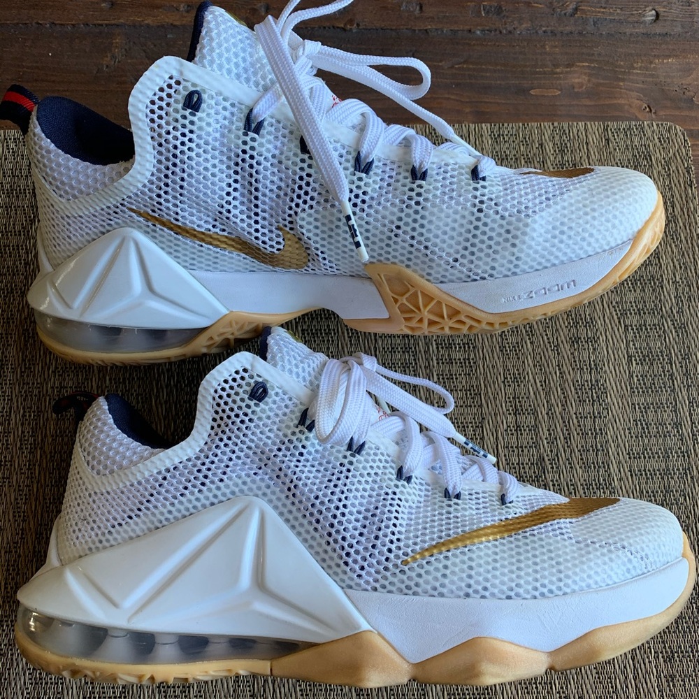 NIKE LEBRON XII Mens 8.5 Sneaker 724557-174